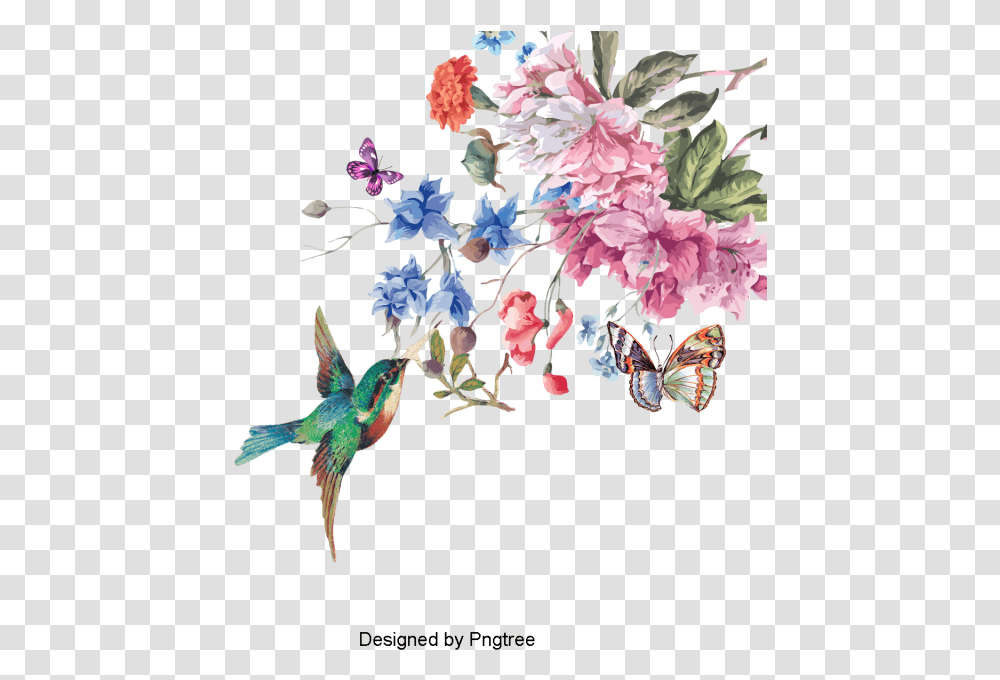 Flower Amp Bird, Plant, Bee Eater, Animal, Geranium Transparent Png