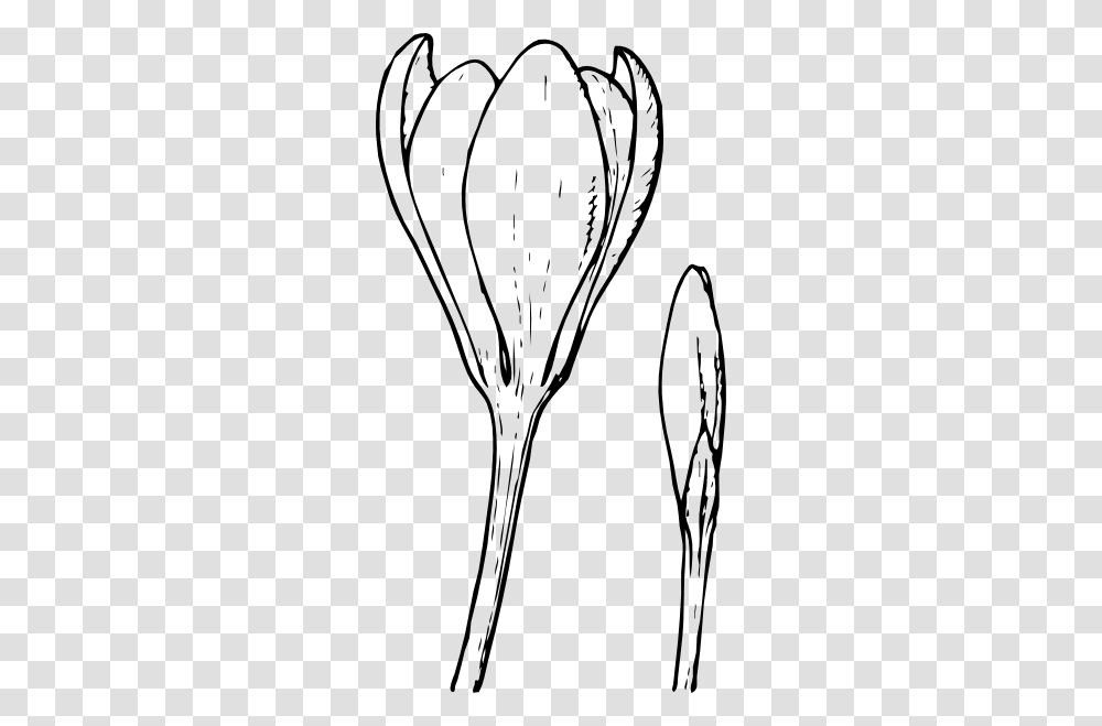 Flower And Bud Clip Art Free Vector, Plant, Blossom, Cutlery, Anther Transparent Png