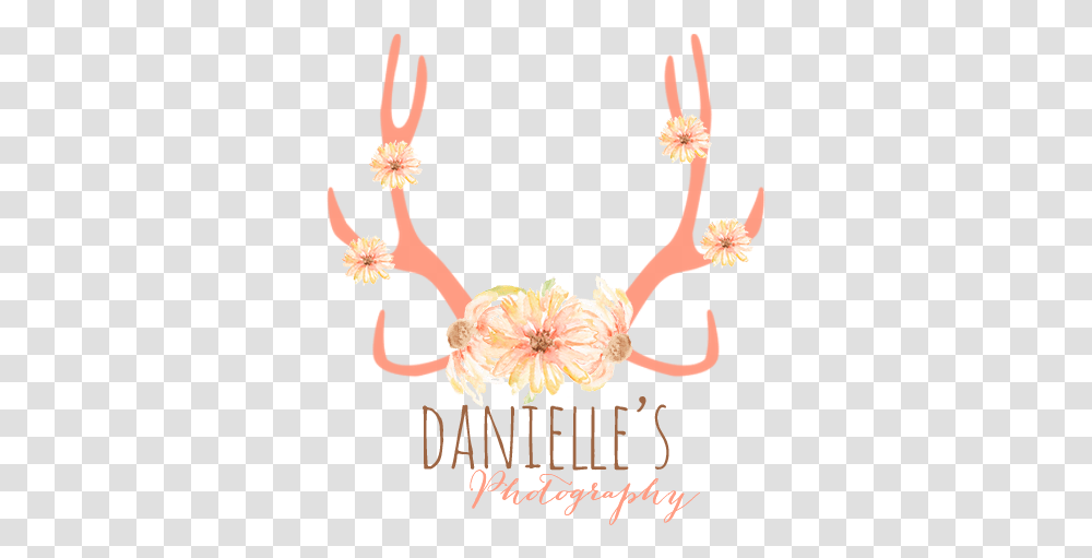 Flower Antler, Necklace, Jewelry, Accessories, Accessory Transparent Png