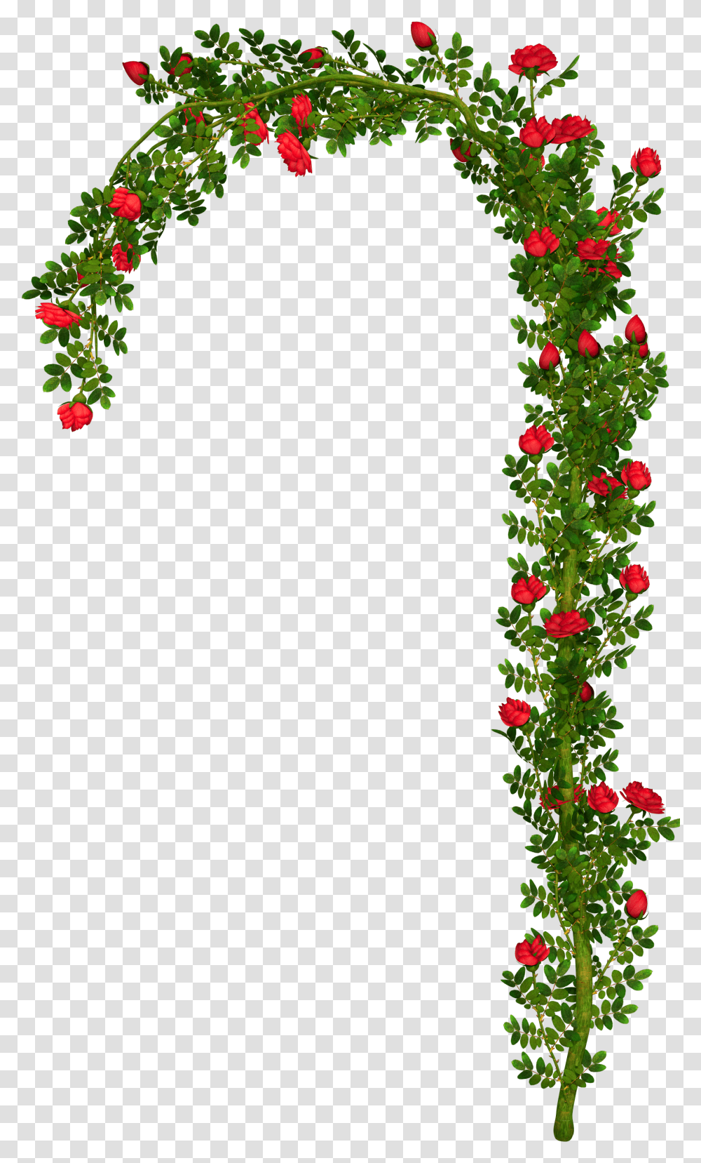 Flower Arch Clipart, Plant, Leaf, Vine, Blossom Transparent Png
