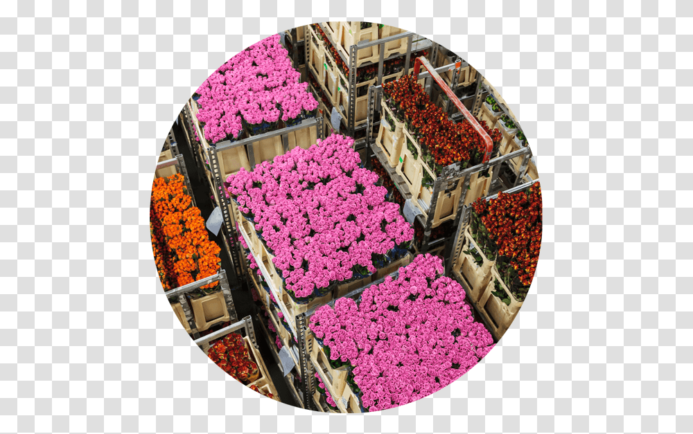 Flower Arrangement, Market, Plant, Grocery Store, Shop Transparent Png