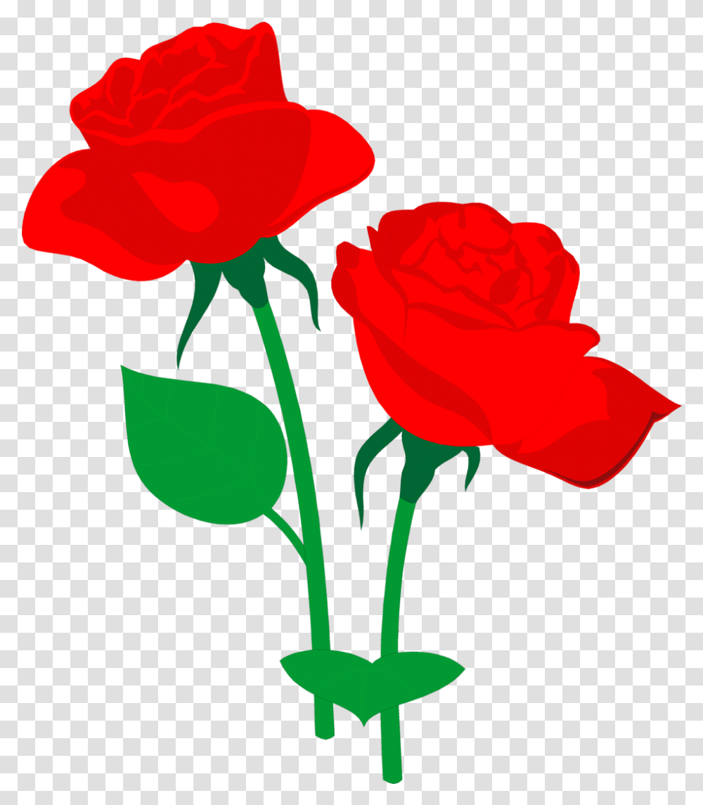 Flower Arrangement Roses Red Free Stock Rose Clipart Rose Clip Art Gif, Plant, Blossom Transparent Png