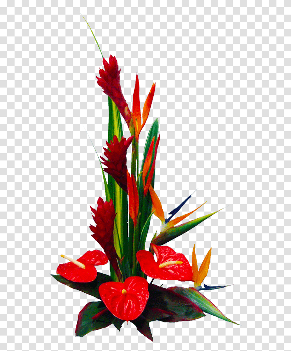 Flower Arrangement With Anthrium, Plant, Blossom, Ikebana Transparent Png