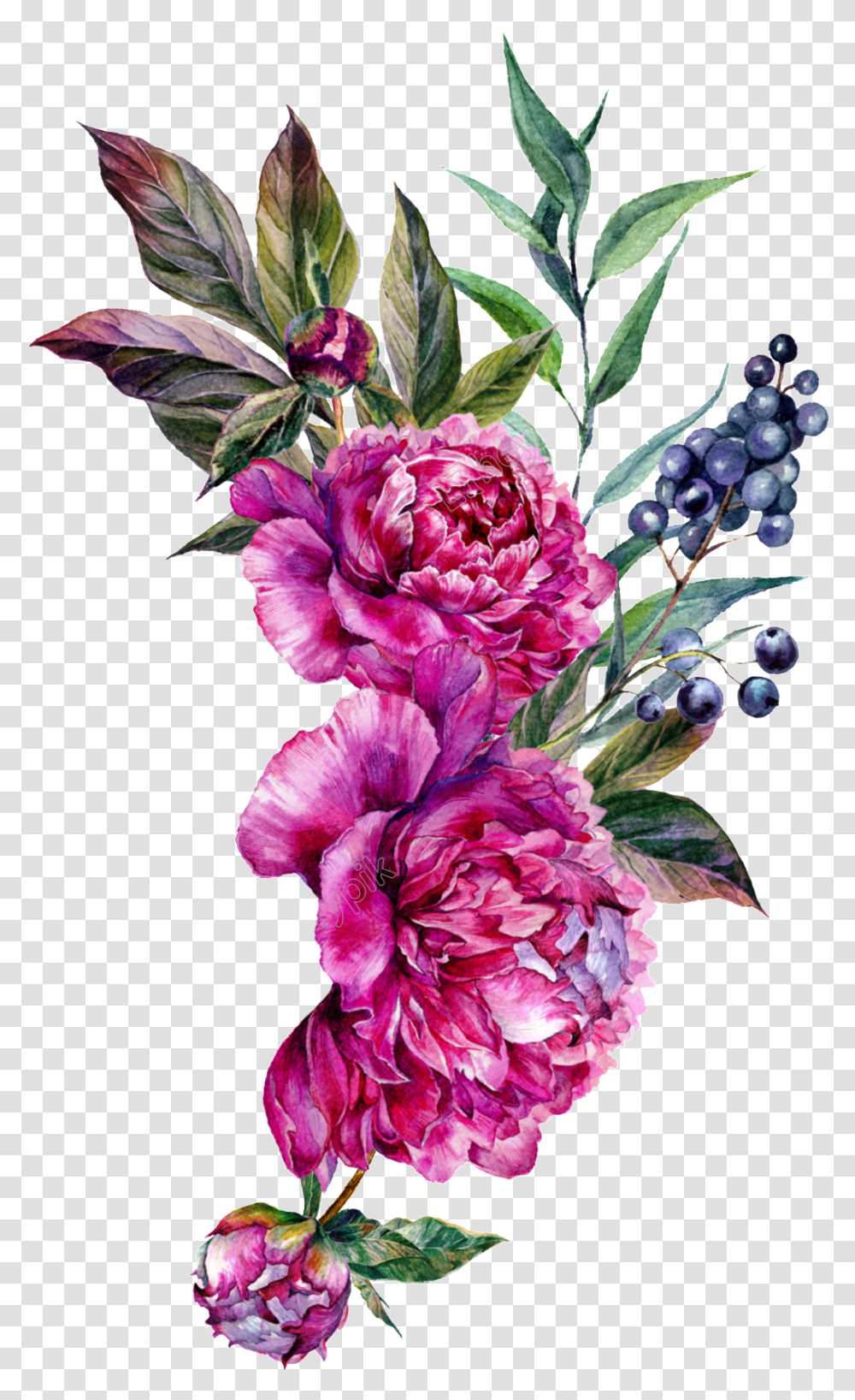 Flower Art Peony Flower Photos Free Download, Plant, Blossom, Carnation, Flower Arrangement Transparent Png