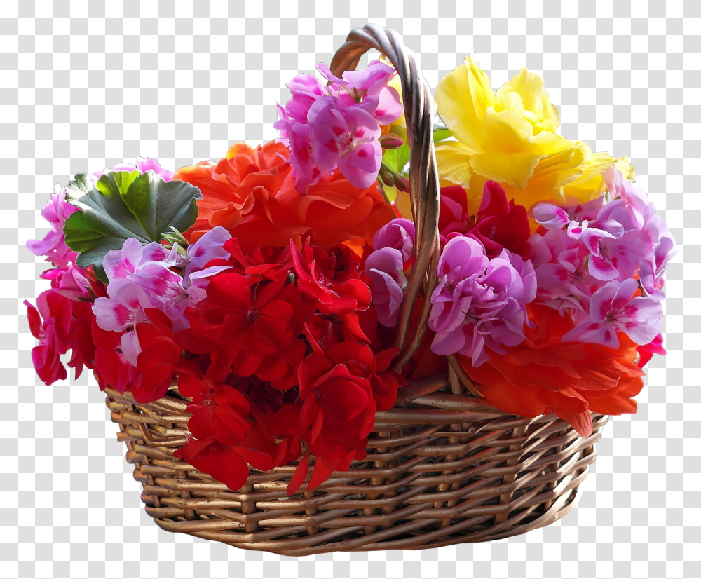 Flower Basket, Plant, Blossom, Flower Bouquet, Flower Arrangement Transparent Png