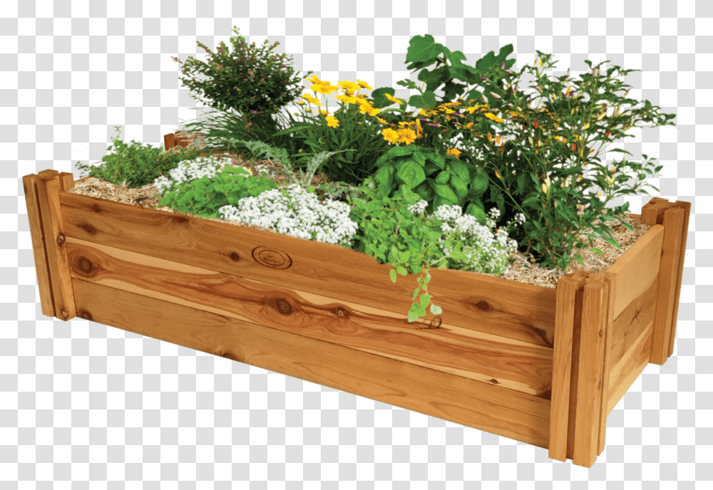 Flower Bed Raised Bed Gardening, Plant, Potted Plant, Vase, Jar Transparent Png