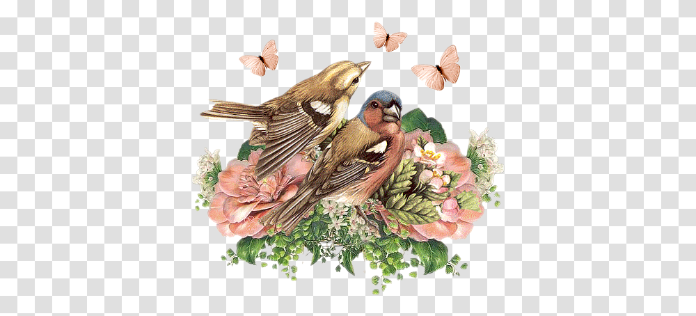 Flower Bird Vintage Imagenes De Pajaros Para Decoupage, Animal, Sparrow, Anthus, Art Transparent Png