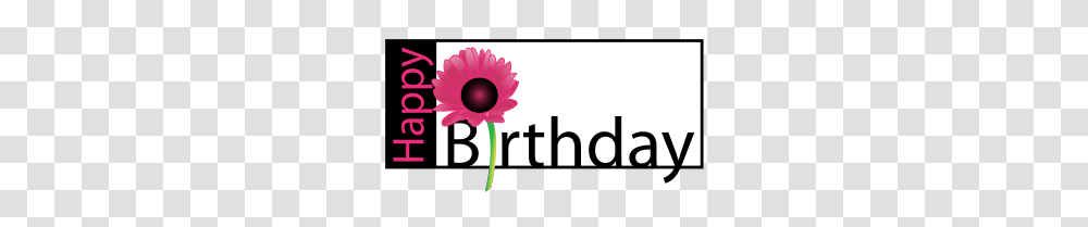 Flower Birthday, Plant, Daisy, Daisies, Petal Transparent Png