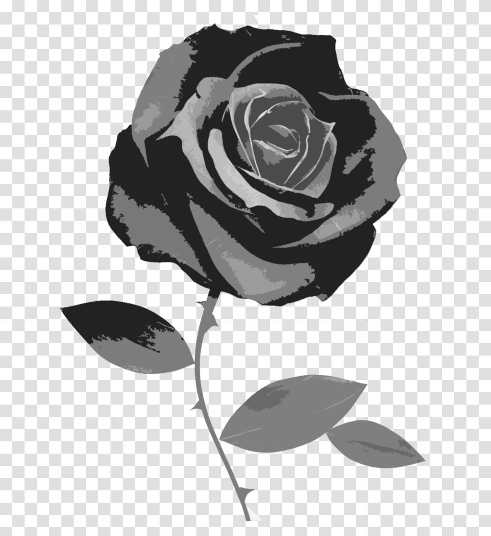 Flower Black And White Background Black Rose, Plant, Blossom Transparent Png