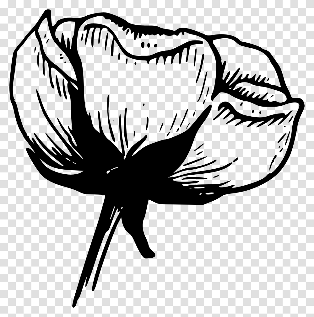Flower Black And White Black And White Flower Border Black And White Photo Simple, Plant, Vegetable, Food, Produce Transparent Png