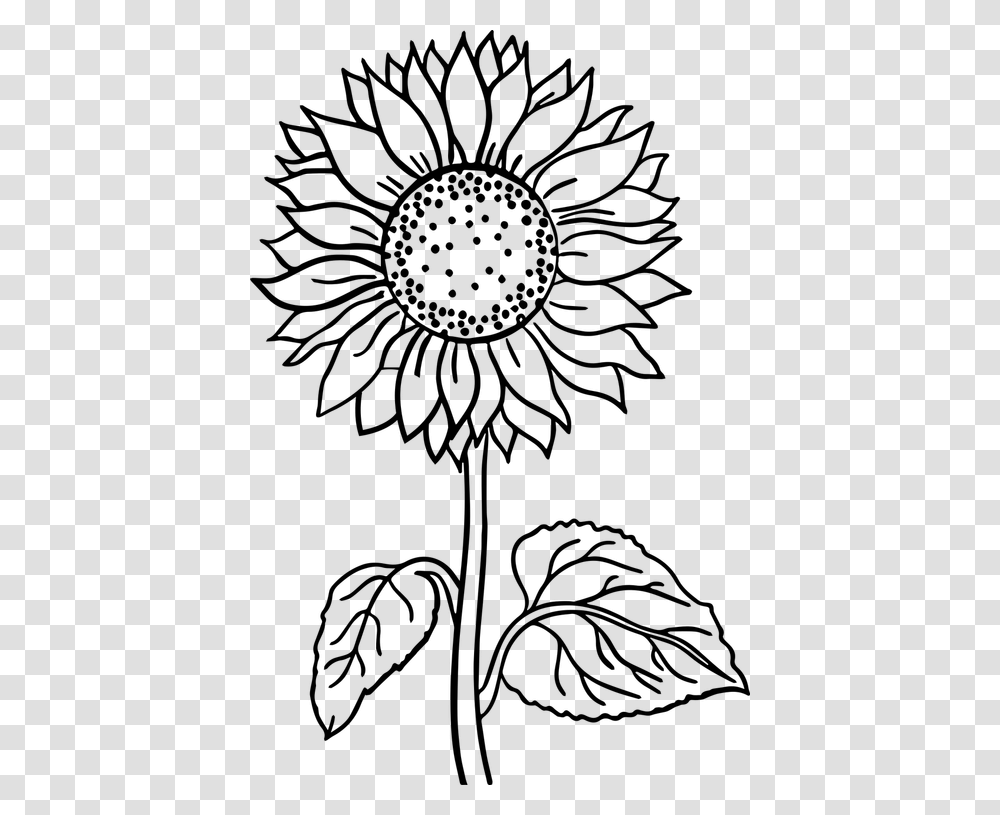 Flower Black And White Flower Line Art Art Flower Sunflower Flower ...