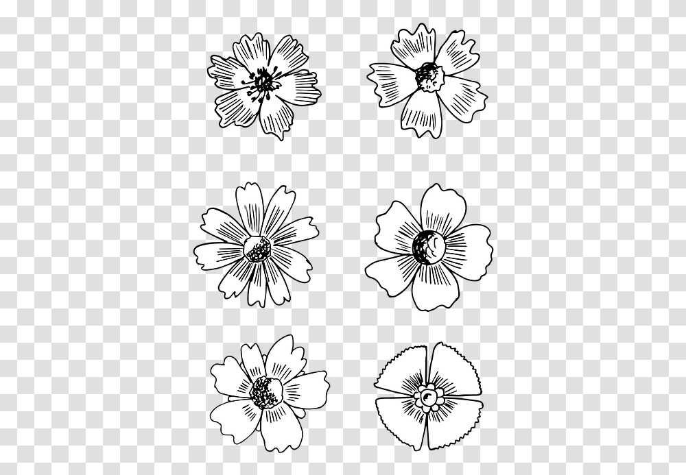 Flower Bloom Drawing, Floral Design, Pattern Transparent Png