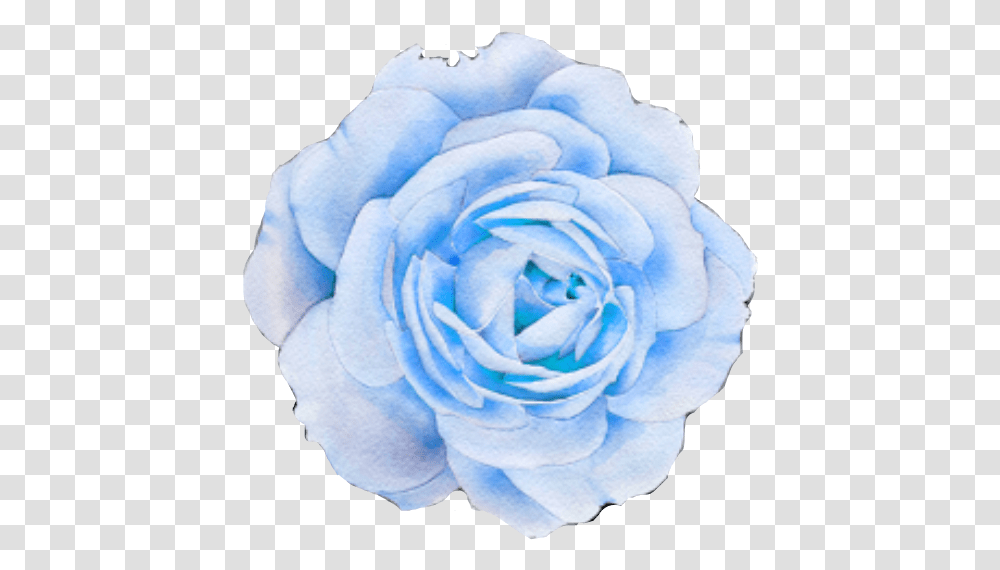 Flower Blue Blueflower Smeraldo Smeraldoflower Freetoed Aesthetic Purple Flower, Rose, Plant, Blossom, Petal Transparent Png