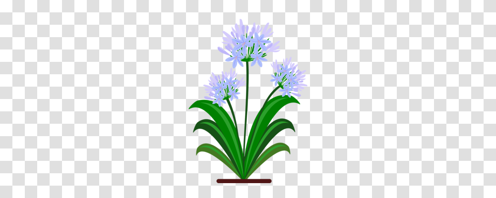 Flower Blue Borders And Frames Purple Plants, Blossom, Anther, Iris, Petal Transparent Png