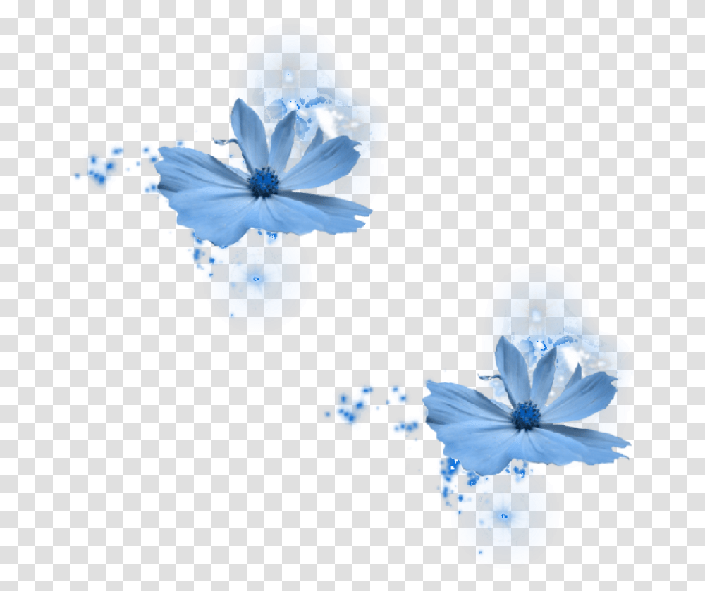 Flower Blue By Azulita1212 Blue Rose, Plant, Pollen, Bluebird, Animal Transparent Png