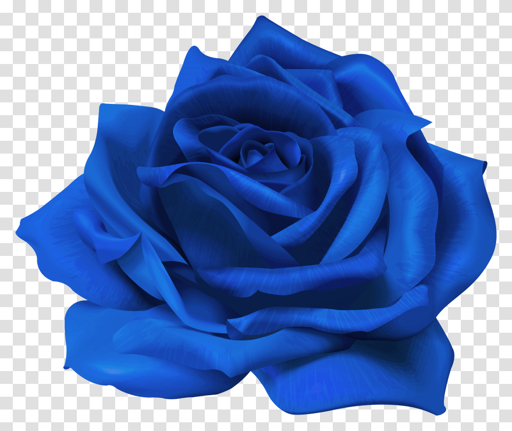 Flower Blue Rose Transparent Png