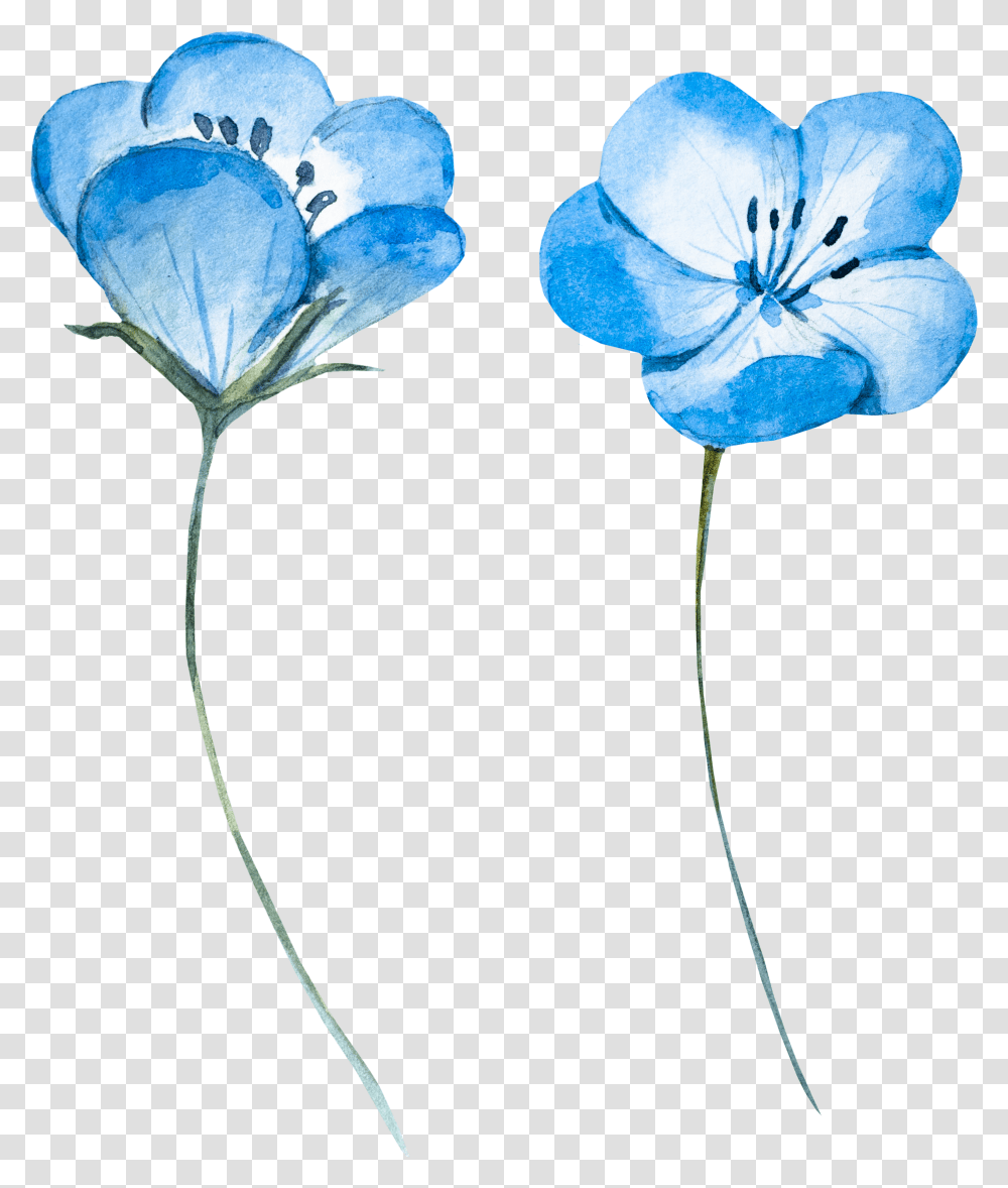 Flower Blue Watercolor Transparent Png