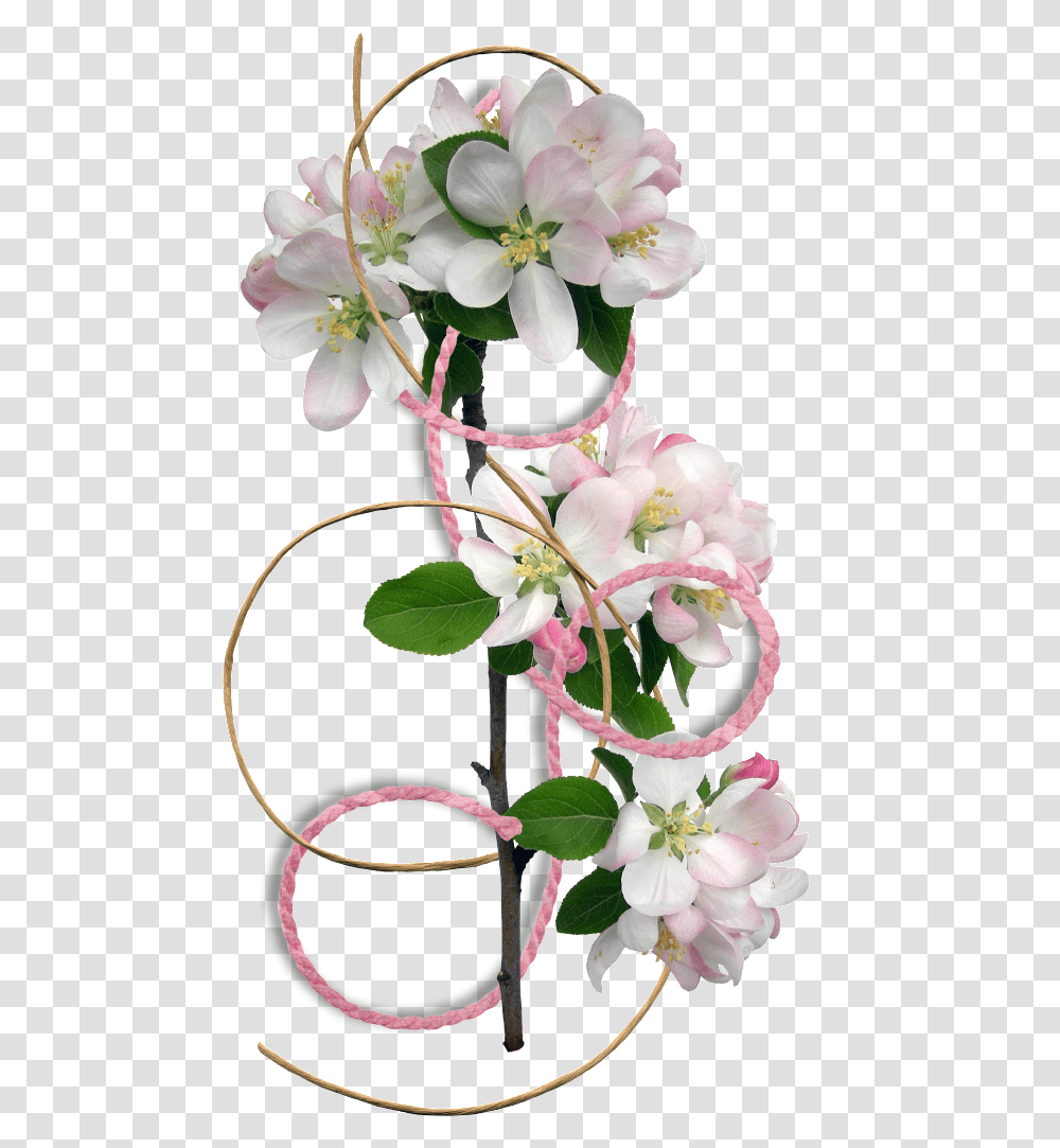Flower Border Clipart Flower Border, Plant, Blossom, Ikebana, Vase Transparent Png