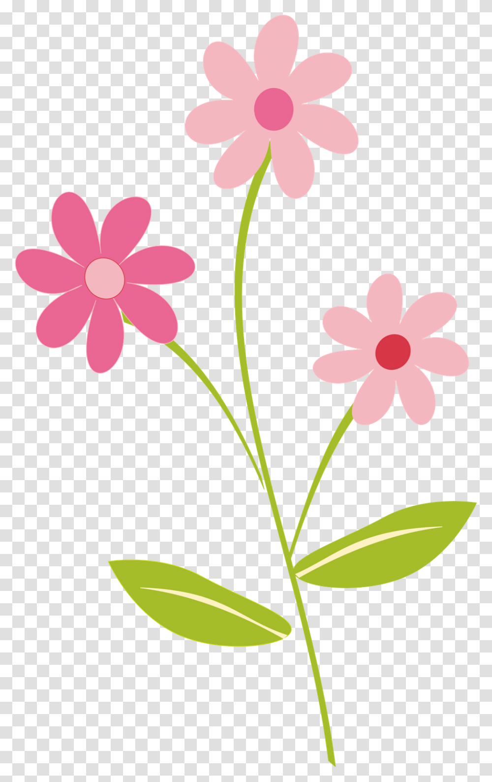Flower Border Cliparts, Plant, Petal, Anther, Geranium Transparent Png
