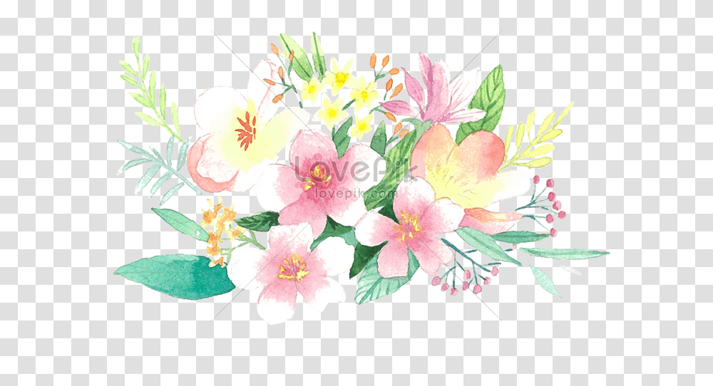 Flower Border Illustration Imagepicture Free Download Peruvian Lily, Plant, Blossom, Flower Arrangement, Flower Bouquet Transparent Png