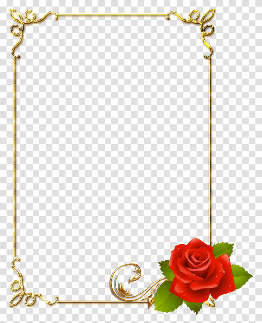 Flower Border Page, Rose, Plant, Blossom, Utility Pole Transparent Png
