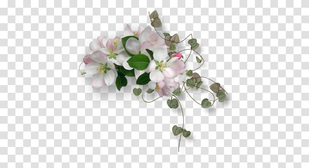 Flower Border, Plant, Flower Arrangement, Flower Bouquet Transparent Png