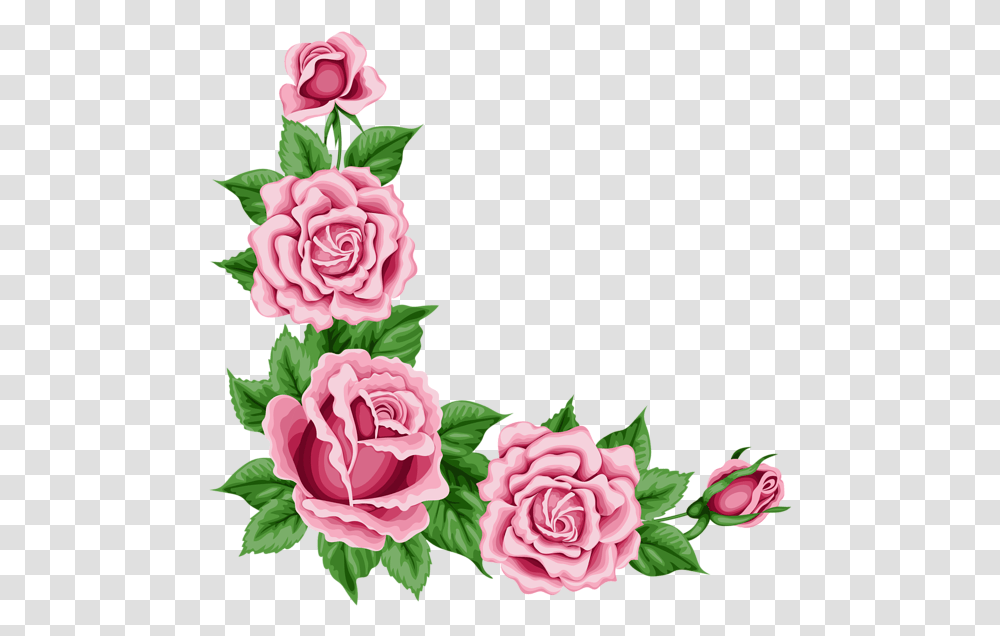 Flower Border Rose Corner Border Designs, Plant, Blossom, Petal, Carnation Transparent Png
