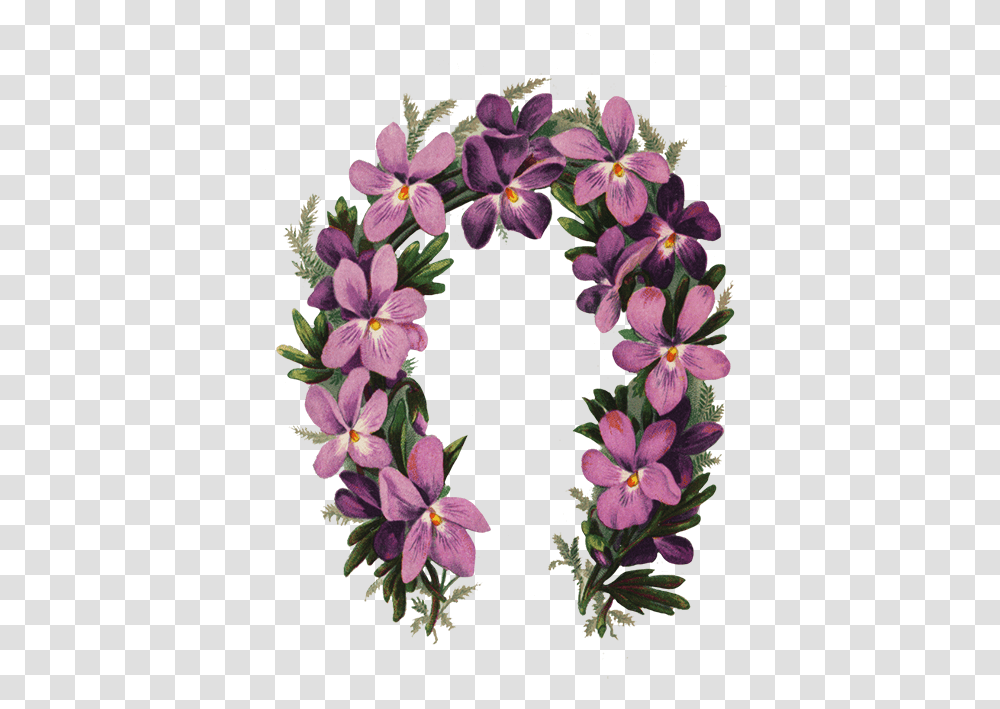 Flower Borders And Frames Happy Day, Plant, Geranium, Bush, Vegetation Transparent Png