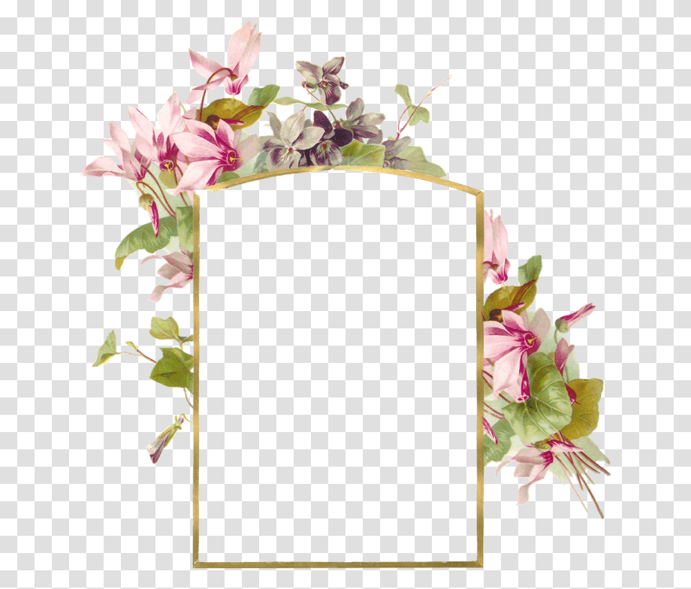 Flower Borders And Frames, Plant, Blossom Transparent Png