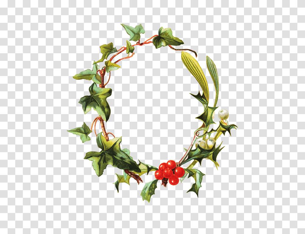 Flower Borders And Frames, Wreath, Plant Transparent Png