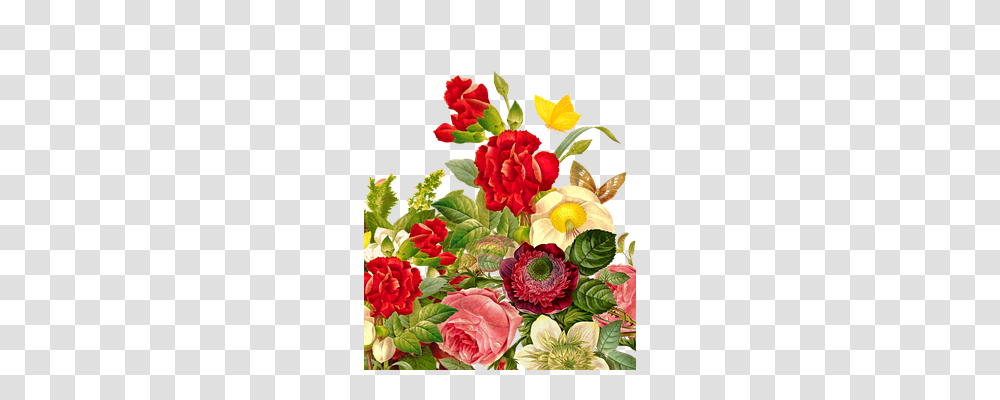 Flower Bouquet Nature, Plant, Floral Design, Pattern Transparent Png