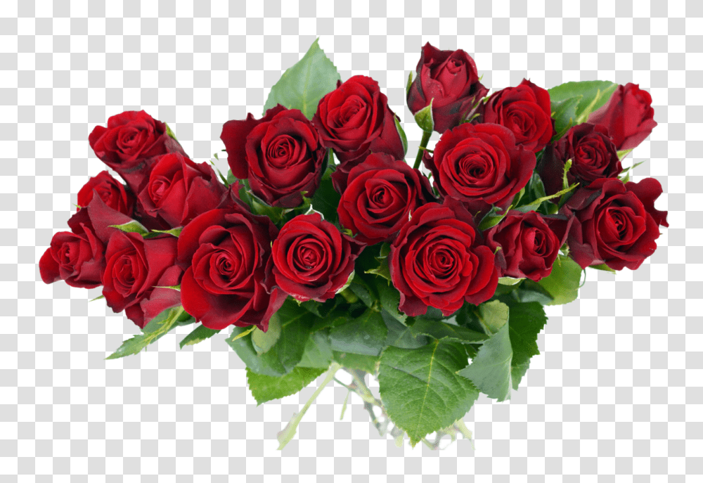 Flower Bouquet Background Roses, Plant, Blossom, Flower Arrangement, Floral Design Transparent Png