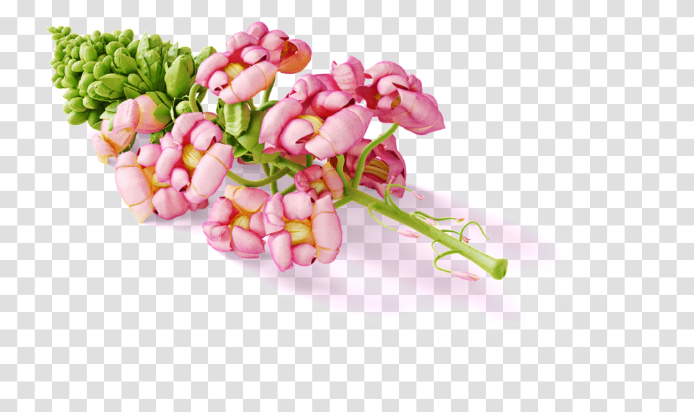 Flower Bouquet Cartoon Girly Stationery Mockup Espejo Led Tactil Redondo, Plant, Radish, Vegetable, Food Transparent Png