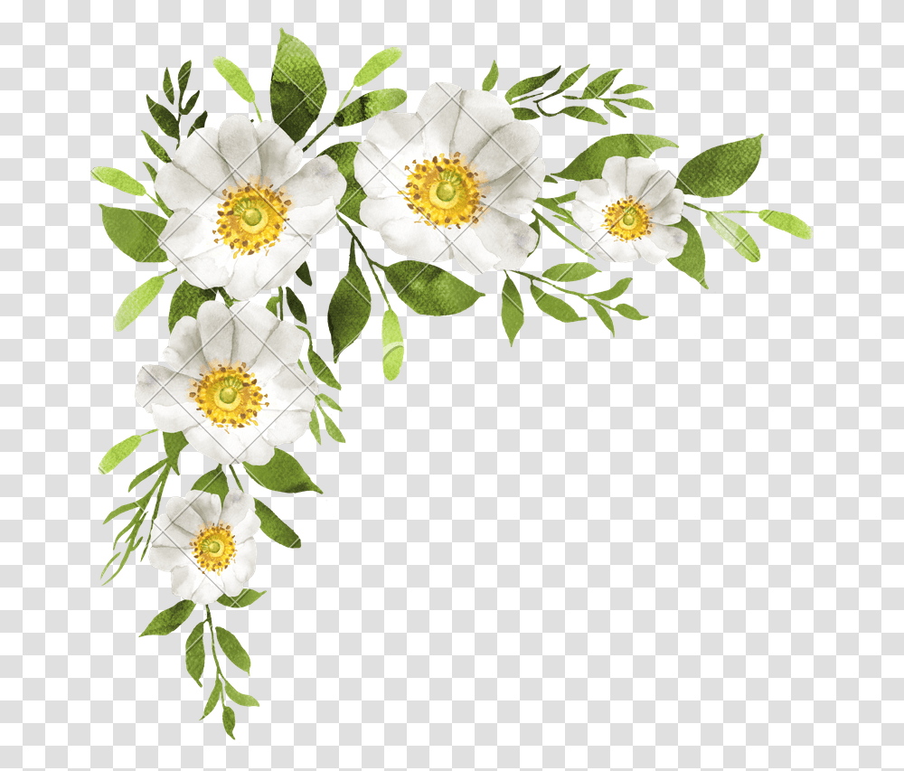 Flower Bouquet Clipart White Flowers, Plant, Floral Design, Pattern Transparent Png