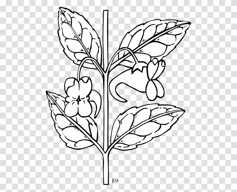 Flower Bouquet Drawing Plant Stem Download, Leaf, Stencil Transparent Png