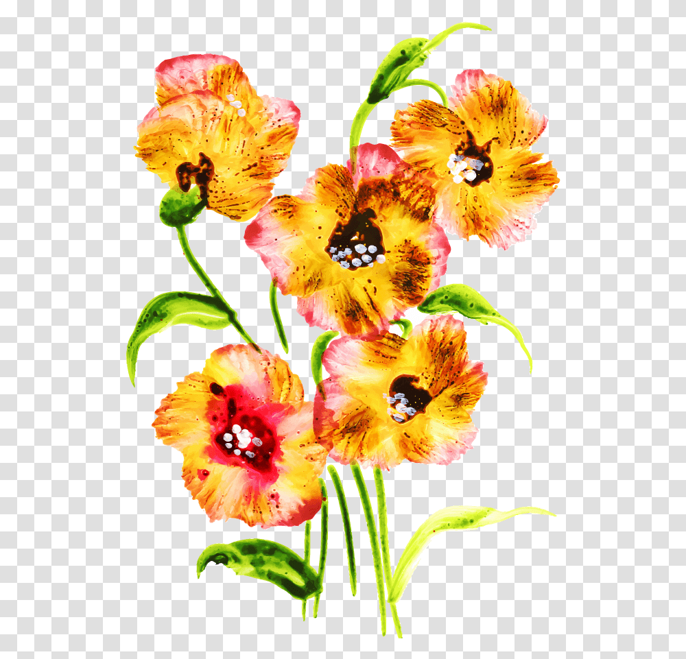 Flower Bouquet, Plant, Blossom, Gladiolus, Anther Transparent Png