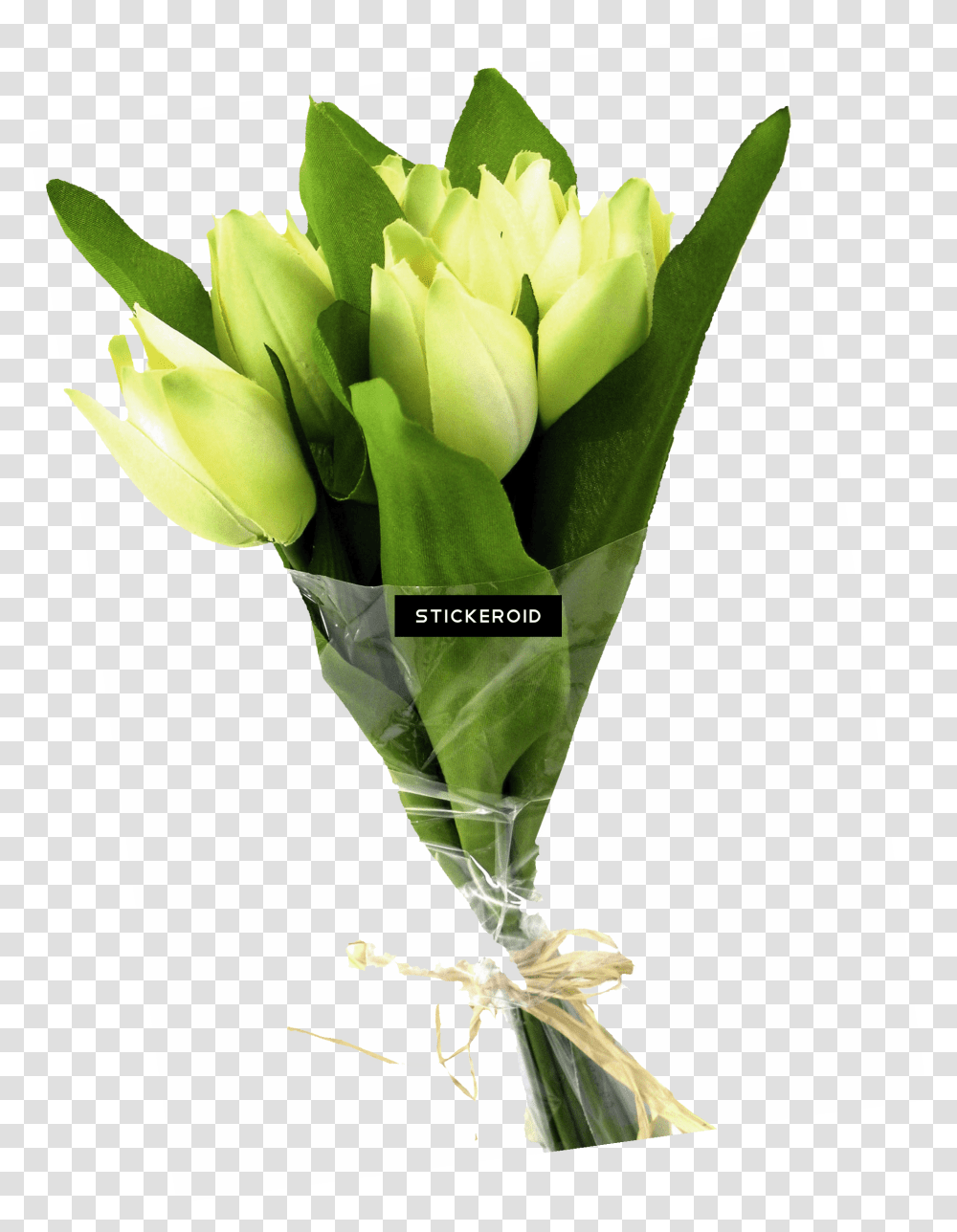 Flower Bouquet, Plant, Flower Arrangement, Blossom, Photography Transparent Png