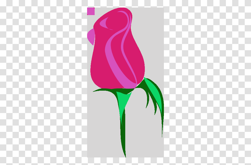 Flower Bud Clip Art, Plant, Rose, Blossom, Tulip Transparent Png