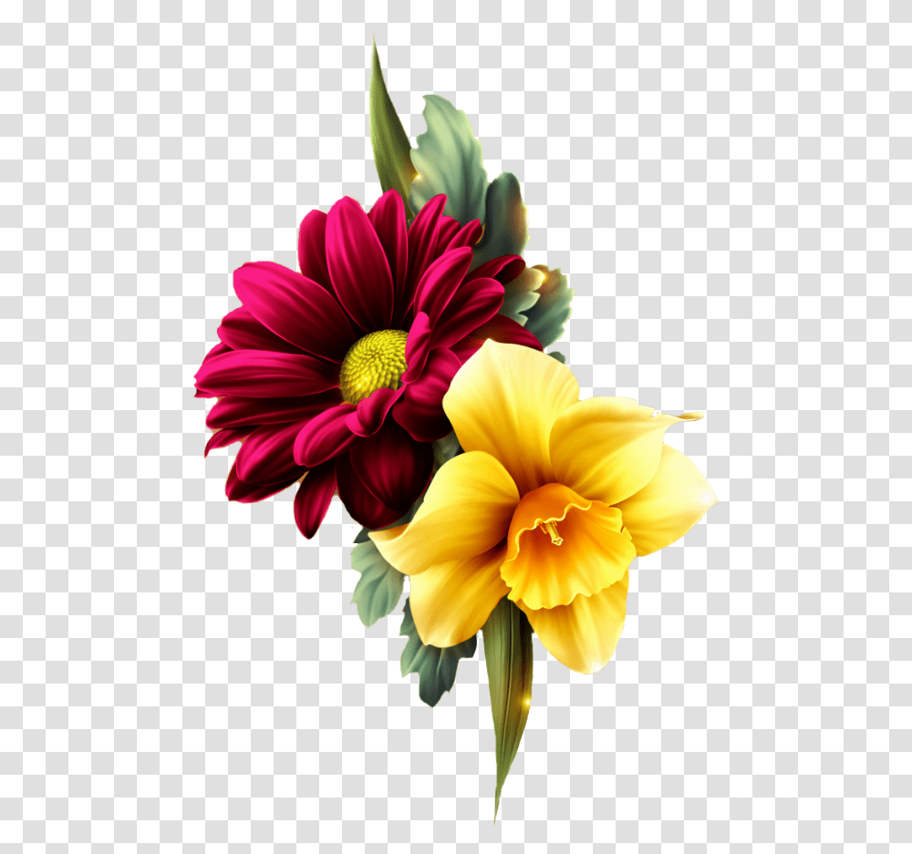 Flower Buke Image Hd, Plant, Blossom, Flower Bouquet, Flower Arrangement Transparent Png