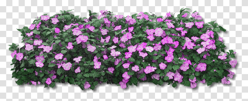 Flower Bush Transparent Png