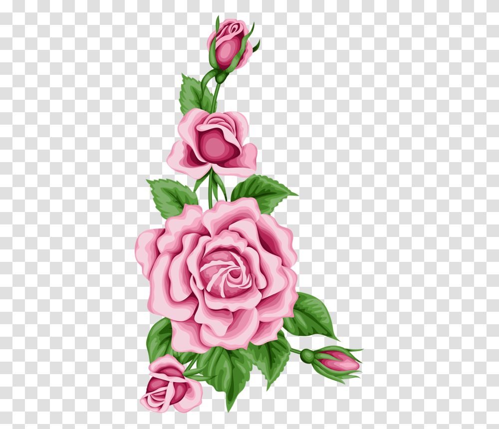 Flower Card With Colorful Roses Flower Border Designs Colorful, Plant, Blossom, Carnation, Petal Transparent Png
