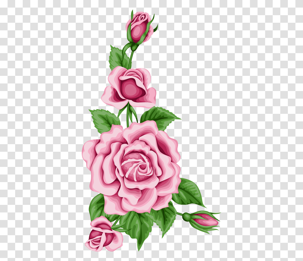 Flower Card With Colorful Roses Pink Flower Side Border Design On Paper, Plant, Blossom, Carnation, Peony Transparent Png