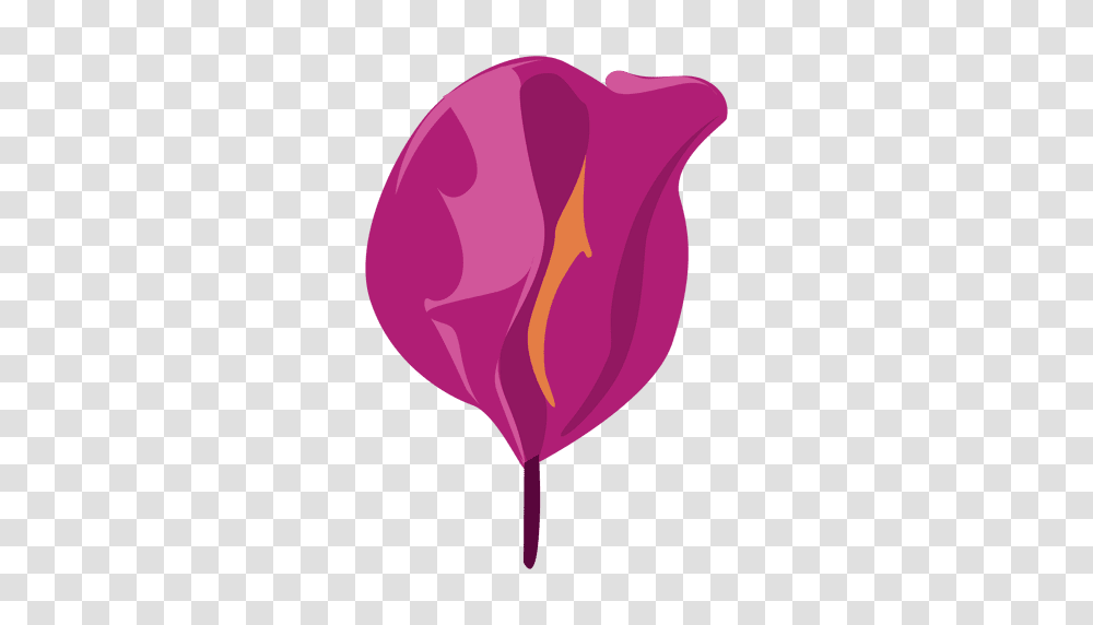 Flower Cartoon, Petal, Plant, Blossom, Heart Transparent Png