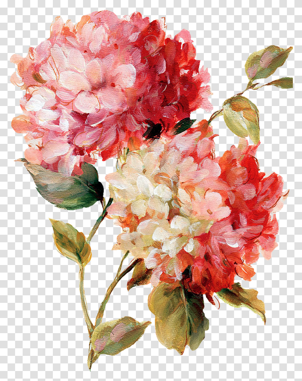 Flower Chalk Art Watercolor Flower Painting, Plant, Blossom, Carnation, Geranium Transparent Png