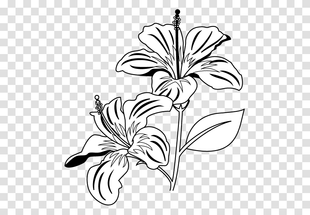 Flower Clip Art Coloring Pages, Plant, Blossom, Lily, Floral Design Transparent Png