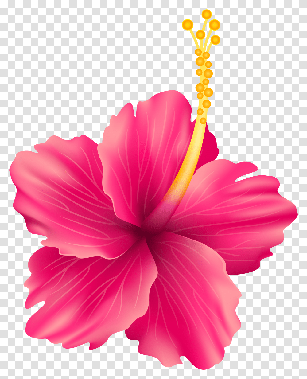 Flower Clip Art Flowers Transparent Png