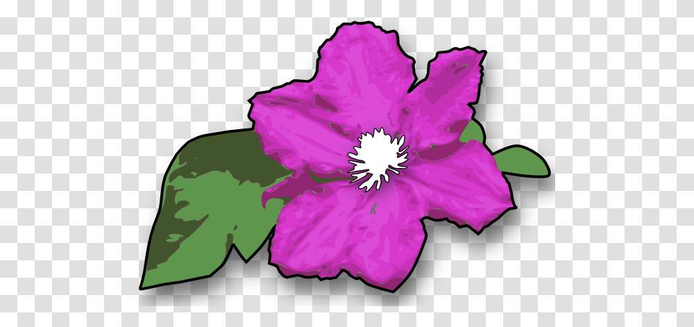 Flower Clip Art Free Vector, Plant, Hibiscus, Blossom, Anemone Transparent Png