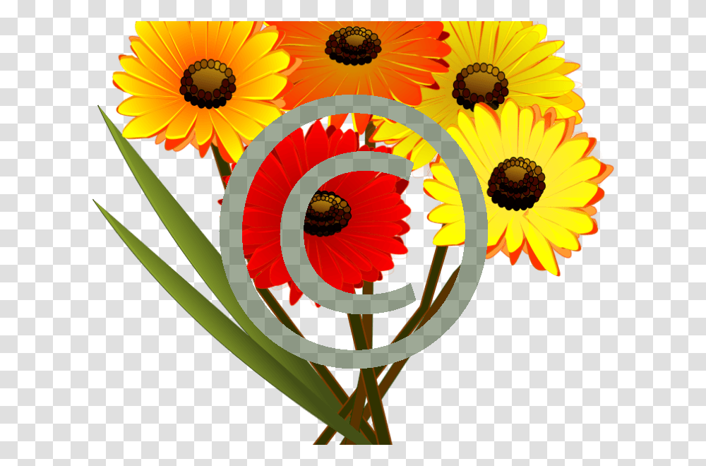 Flower Clip Art, Plant, Blossom, Floral Design Transparent Png