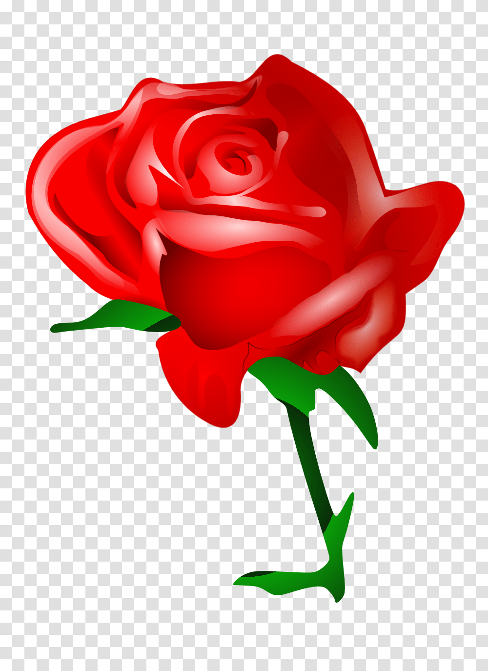 Flower Clip Art Image Black, Rose, Plant, Blossom, Petal Transparent Png