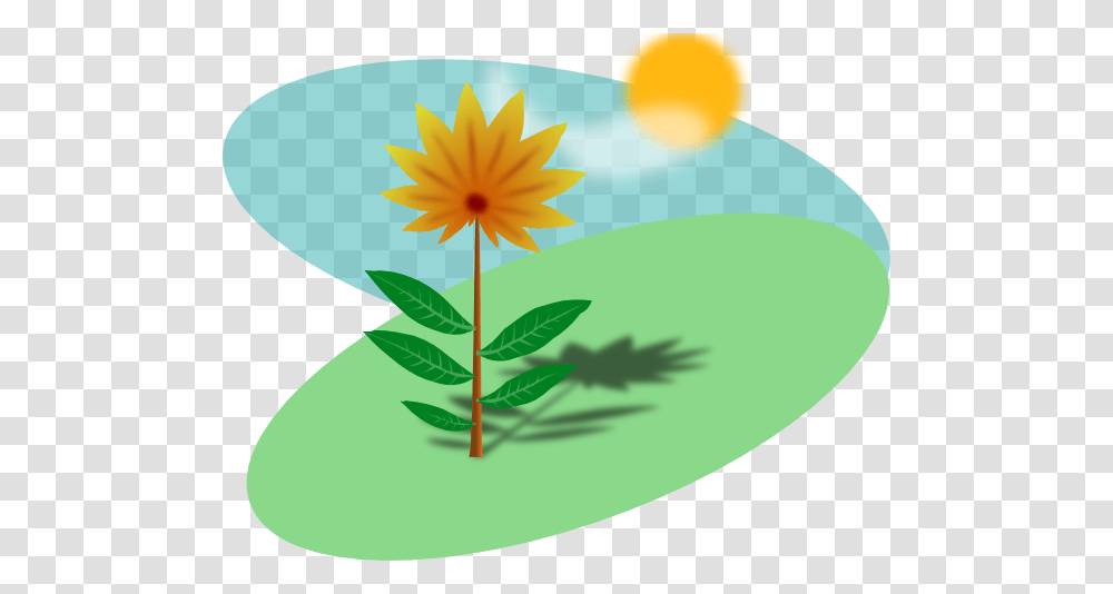 Flower Clip Art, Plant, Anther, Leaf, Daisy Transparent Png
